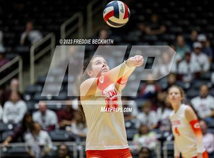 Thumbnail 1 in Davenport vs. Celina (UIL 4A Volleyball Semi-Final) photogallery.