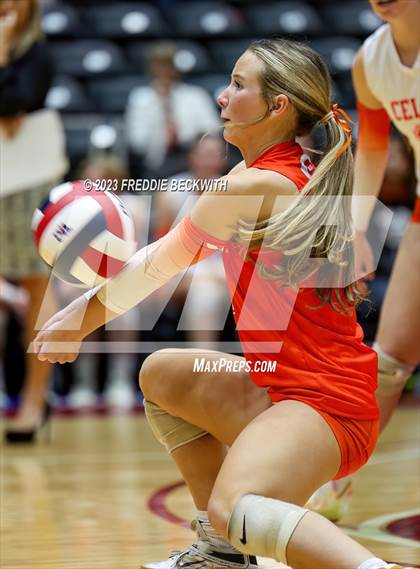 Thumbnail 1 in Davenport vs. Celina (UIL 4A Volleyball Semi-Final) photogallery.