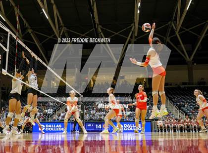 Thumbnail 1 in Davenport vs. Celina (UIL 4A Volleyball Semi-Final) photogallery.