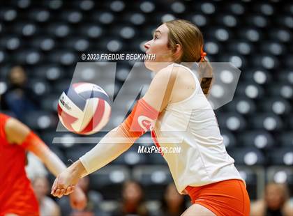 Thumbnail 2 in Davenport vs. Celina (UIL 4A Volleyball Semi-Final) photogallery.