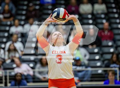 Thumbnail 3 in Davenport vs. Celina (UIL 4A Volleyball Semi-Final) photogallery.