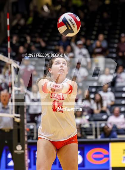 Thumbnail 3 in Davenport vs. Celina (UIL 4A Volleyball Semi-Final) photogallery.