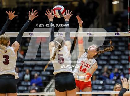 Thumbnail 2 in Davenport vs. Celina (UIL 4A Volleyball Semi-Final) photogallery.