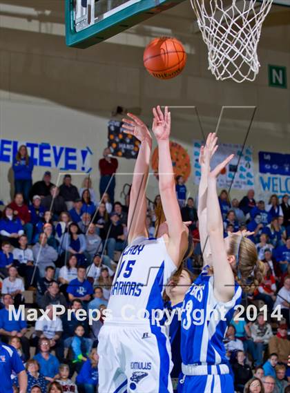 Thumbnail 1 in Romulus vs. Fort Edward (NYSPHSAA Class D Final) photogallery.