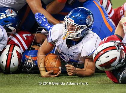 Thumbnail 1 in Whiteland @ New Palestine (Horseshoe Classic) photogallery.