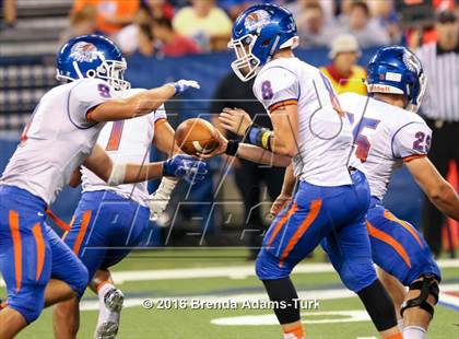 Thumbnail 1 in Whiteland @ New Palestine (Horseshoe Classic) photogallery.
