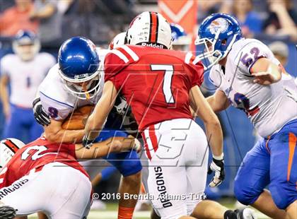 Thumbnail 2 in Whiteland @ New Palestine (Horseshoe Classic) photogallery.