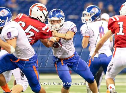 Thumbnail 1 in Whiteland @ New Palestine (Horseshoe Classic) photogallery.