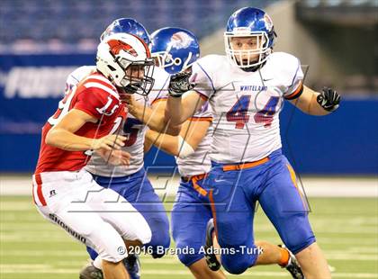 Thumbnail 2 in Whiteland @ New Palestine (Horseshoe Classic) photogallery.
