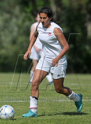 null - Photo 01