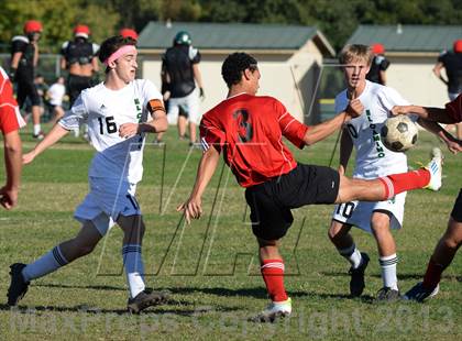 Thumbnail 3 in Mira Loma @ El Camino photogallery.