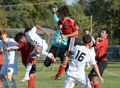 Thumbnail 2 in Mira Loma @ El Camino photogallery.