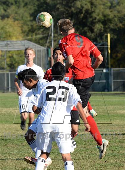 Thumbnail 2 in Mira Loma @ El Camino photogallery.