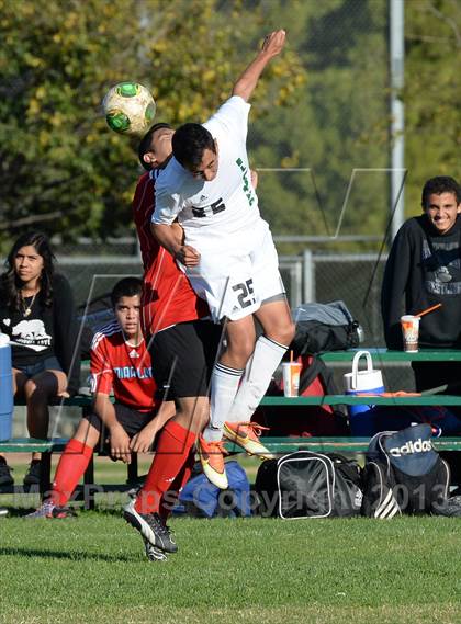 Thumbnail 3 in Mira Loma @ El Camino photogallery.