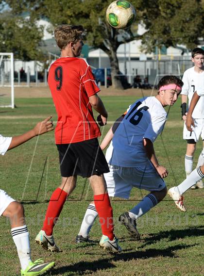 Thumbnail 1 in Mira Loma @ El Camino photogallery.