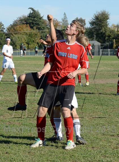 Thumbnail 2 in Mira Loma @ El Camino photogallery.