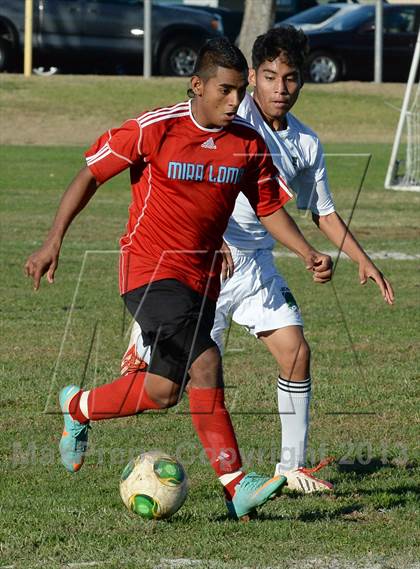 Thumbnail 1 in Mira Loma @ El Camino photogallery.