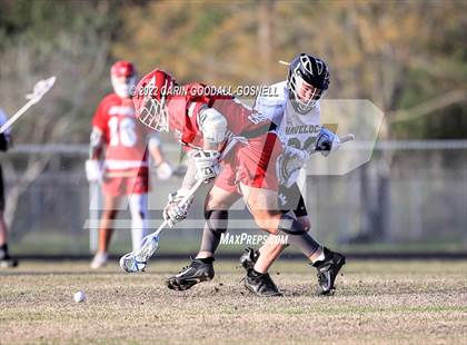 Thumbnail 3 in Jacksonville @ Havelock photogallery.