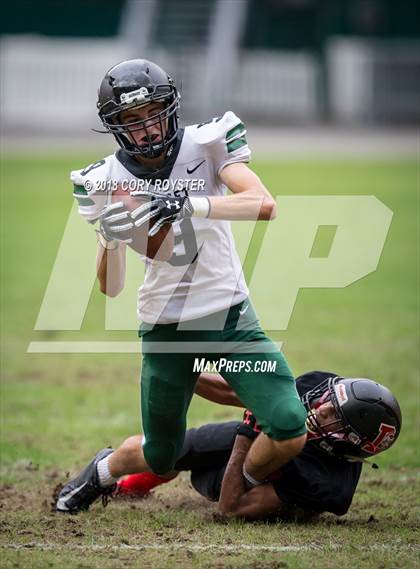 Thumbnail 1 in Maret vs Dunbar photogallery.