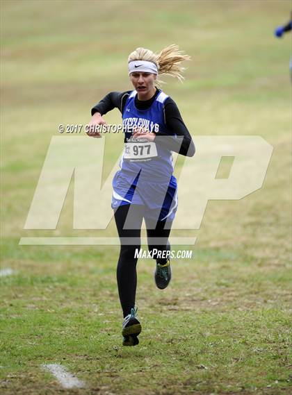 Thumbnail 1 in IHSA 1A Girls Cross Country Sectional (Benton) photogallery.