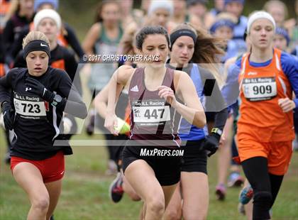 Thumbnail 3 in IHSA 1A Girls Cross Country Sectional (Benton) photogallery.