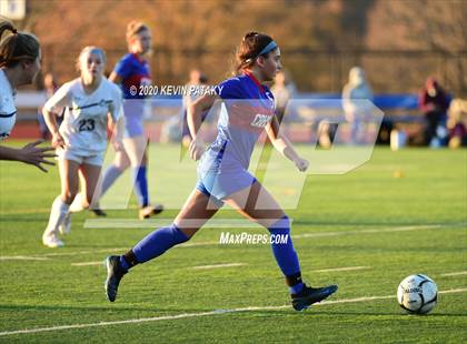 Thumbnail 2 in Morgan @ Coginchaug Regional photogallery.