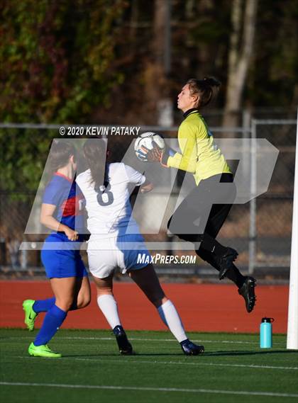 Thumbnail 3 in Morgan @ Coginchaug Regional photogallery.