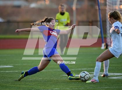 Thumbnail 1 in Morgan @ Coginchaug Regional photogallery.