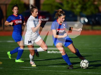 Thumbnail 3 in Morgan @ Coginchaug Regional photogallery.