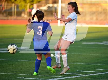 Thumbnail 2 in Morgan @ Coginchaug Regional photogallery.