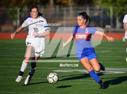 Thumbnail 3 in Morgan @ Coginchaug Regional photogallery.