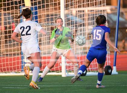 Thumbnail 3 in Morgan @ Coginchaug Regional photogallery.