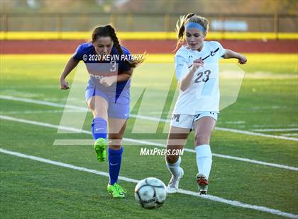 Thumbnail 1 in Morgan @ Coginchaug Regional photogallery.