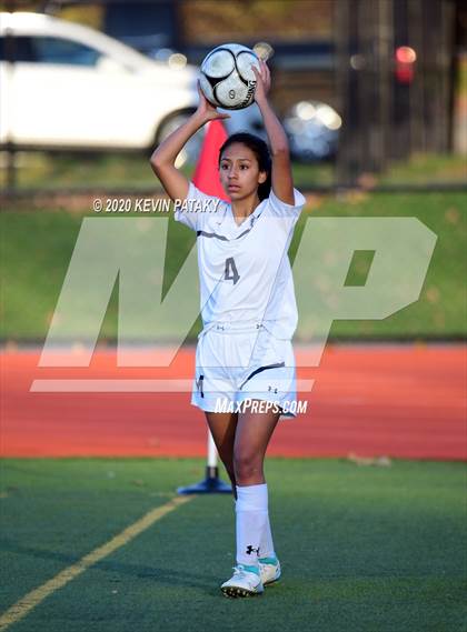 Thumbnail 3 in Morgan @ Coginchaug Regional photogallery.