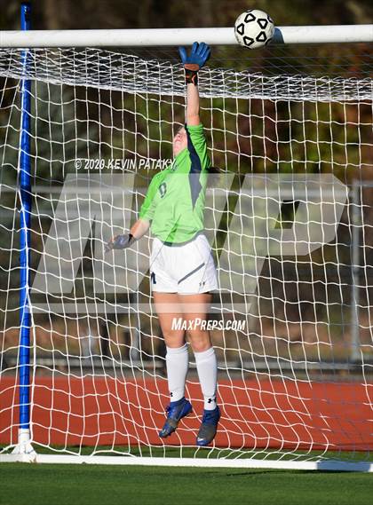 Thumbnail 1 in Morgan @ Coginchaug Regional photogallery.