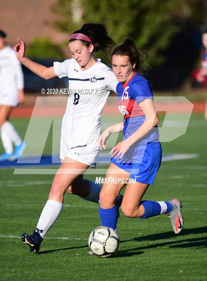 Thumbnail 2 in Morgan @ Coginchaug Regional photogallery.