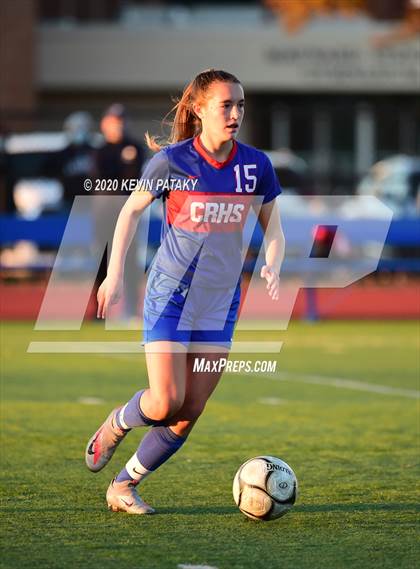Thumbnail 1 in Morgan @ Coginchaug Regional photogallery.