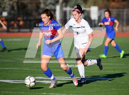 Thumbnail 3 in Morgan @ Coginchaug Regional photogallery.