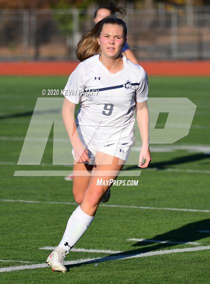 Thumbnail 1 in Morgan @ Coginchaug Regional photogallery.