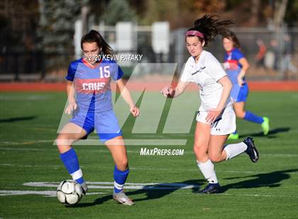 Thumbnail 1 in Morgan @ Coginchaug Regional photogallery.
