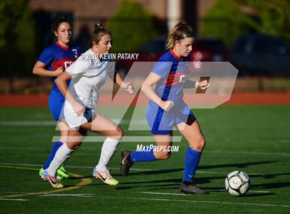 Thumbnail 1 in Morgan @ Coginchaug Regional photogallery.