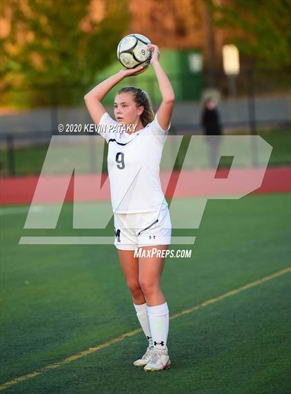 Thumbnail 3 in Morgan @ Coginchaug Regional photogallery.