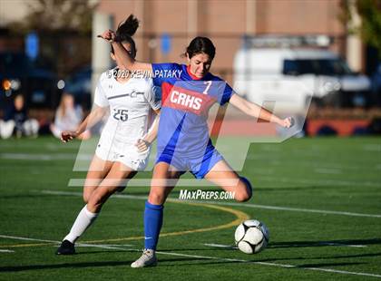 Thumbnail 2 in Morgan @ Coginchaug Regional photogallery.
