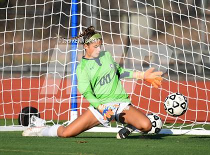 Thumbnail 2 in Morgan @ Coginchaug Regional photogallery.