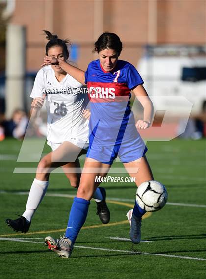 Thumbnail 1 in Morgan @ Coginchaug Regional photogallery.