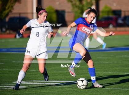 Thumbnail 3 in Morgan @ Coginchaug Regional photogallery.