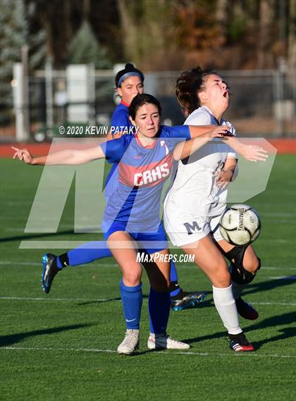 Thumbnail 3 in Morgan @ Coginchaug Regional photogallery.