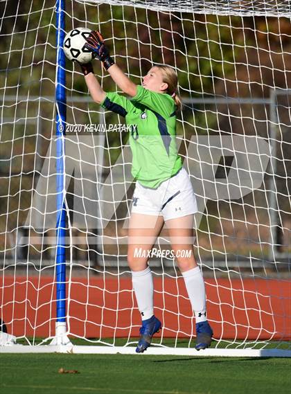 Thumbnail 2 in Morgan @ Coginchaug Regional photogallery.