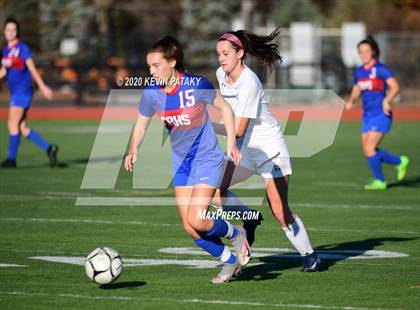 Thumbnail 1 in Morgan @ Coginchaug Regional photogallery.