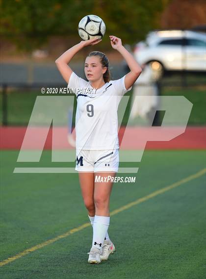 Thumbnail 1 in Morgan @ Coginchaug Regional photogallery.